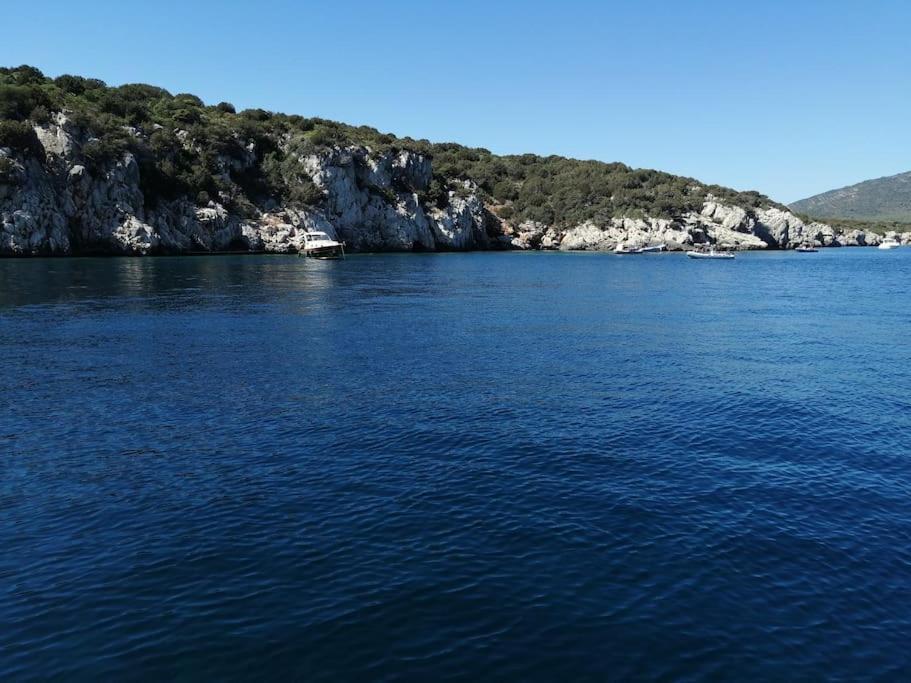 Palau Del Corso Appartement Alghero Buitenkant foto