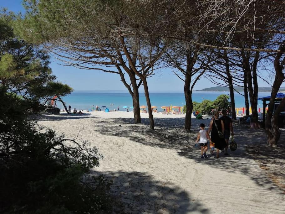Palau Del Corso Appartement Alghero Buitenkant foto